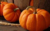 秋季減肥吃什么？木瓜銀耳燉牛奶