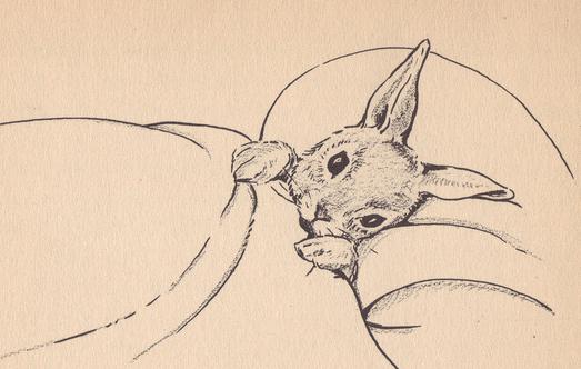 有這些癥狀證明你睡眠不足！