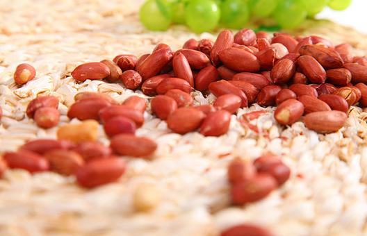 花生的紅衣有什么營養價值？