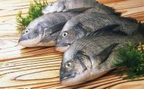 魚的哪些部位比較有營養(yǎng)？洗魚有什么技巧？