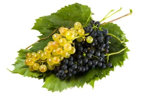 吃什么可以預防感冒？蘿卜緩解感冒