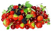 怎么預防呼吸道疾病？飲食均衡重要