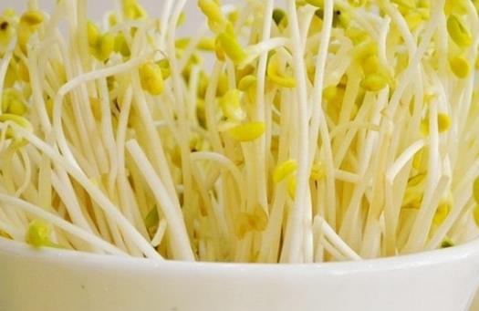 黃豆芽和綠豆芽哪個營養(yǎng)價值更高