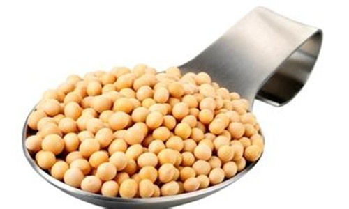 轉(zhuǎn)基因大豆真的致癌嗎?