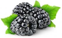 黑色食物更有利于女性健康哦！