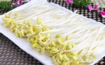 黃豆芽vs綠豆芽 哪個更營養