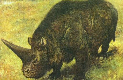 大揭秘：史前動物你知道多少？