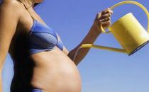 孕婦不宜濫服溫?zé)嵫a品-孕婦不宜吃什么？