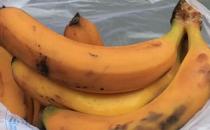 水果發霉了還能吃嗎？對健康有沒有影響？