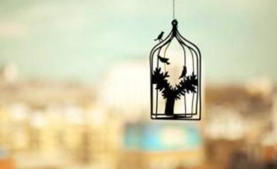 夫妻之間撒謊對婚姻破壞性極大!