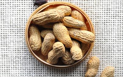 中學(xué)生補(bǔ)腦吃17種食物