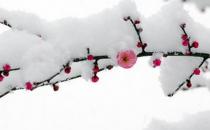 ?已經立冬了，祝你冬天快樂