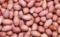 花生營養高 多吃有這5大好處