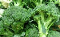 防癌明星西蘭花有什么營養價值？