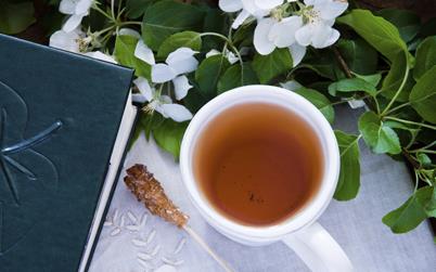 白領女性犯困喝4款茶