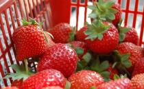 吃什么食物養生？白菜止咳化痰