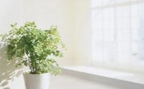 我們為什么會接吻？接吻的理由？