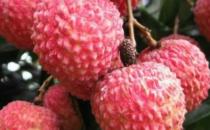 吃4種食物會(huì)造成酒駕