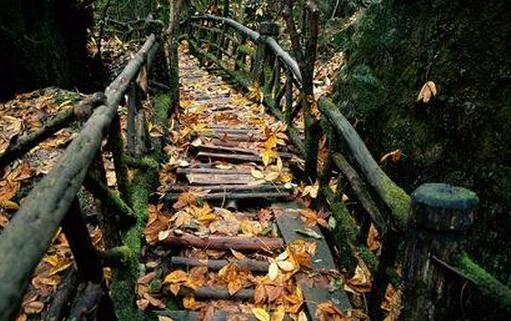 什么男人可以嫁？低調奢華有內涵