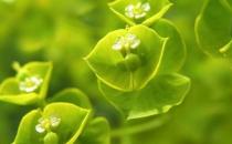 多給他一點(diǎn)尊重他會(huì)更愛你！