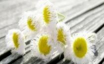 閨蜜失戀了該怎么辦？請你陪我去瘋狂