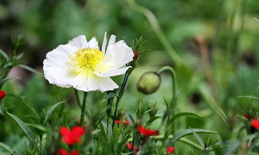 如何走出失戀的痛苦？不用寄喜帖給他
