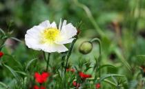 如何走出失戀的痛苦？不用寄喜帖給他