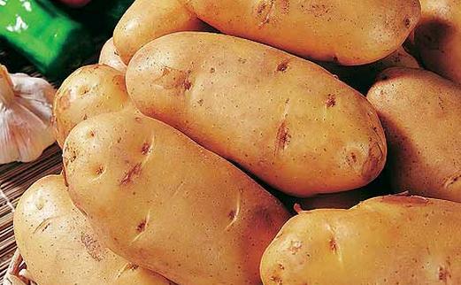 日常常吃哪些食物養生防病