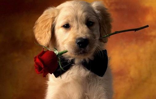 不善于傾聽(tīng)他會(huì)讓他離你越來(lái)越遠(yuǎn)