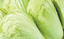 盤點冬季最營養最養生的10種蔬菜