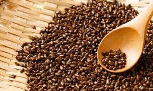 喝決明子有什么好處？決明子的功效