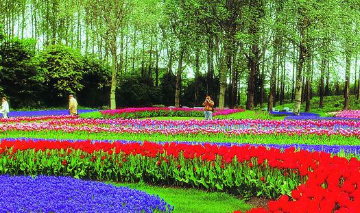 露臺花園怎么設計?露臺花園的設計原則