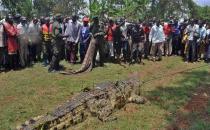 烏干達懷孕女子被鱷魚吃掉，丈夫傾家蕩復仇