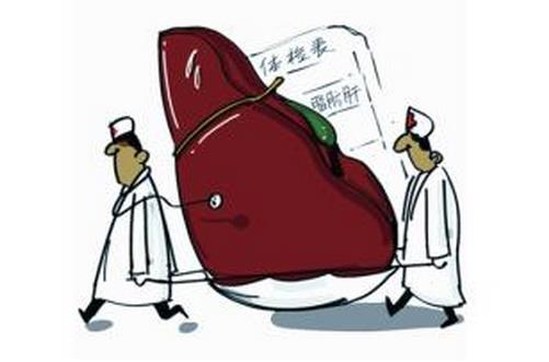 脂肪肝吃什么好？脂肪肝的飲食方案