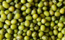 吃什么去濕？盤點10種清熱去濕的食物