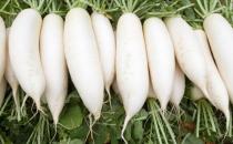 冬吃蘿卜怎么吃 避免錯誤的吃法