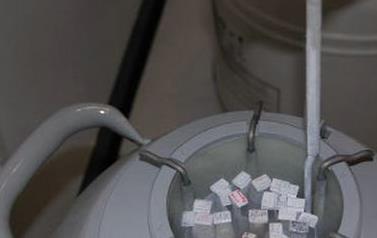 冷凍卵子是什么意思