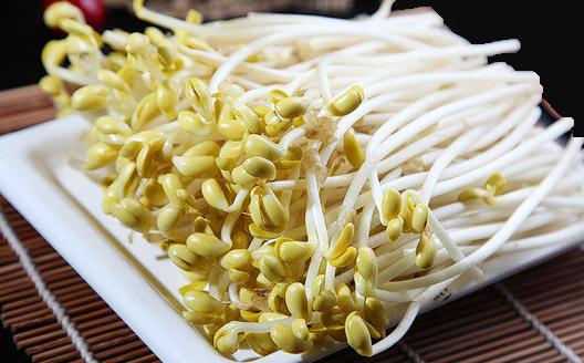 發芽的食物究竟能不能吃？