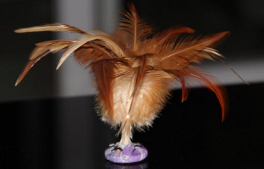 踢毽子有什么好處？踢毽子的技巧