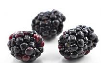 女性補腎吃什么水果最好？