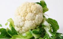 寶寶冬季如何進補？寶寶冬季進補注意事項