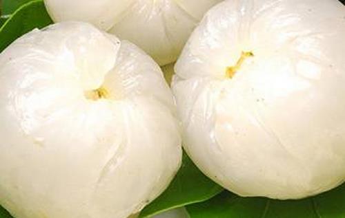 男性陽痿吃什么好 男性陽痿吃7種食物