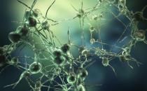 癲癇病發作怎么進行急救