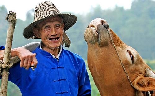 8個步驟預防老年癡呆