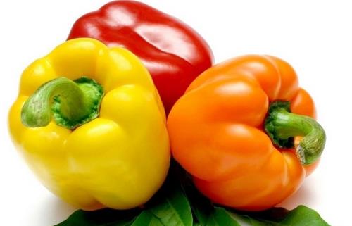 提高老人記憶力養(yǎng)成6個小習慣