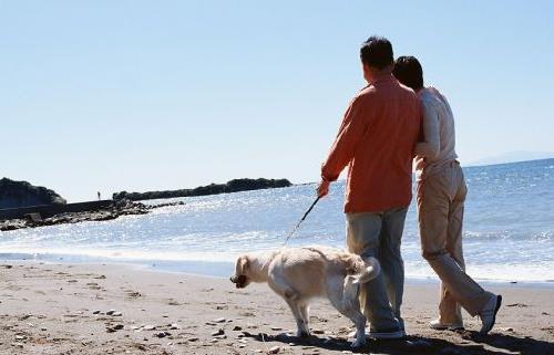 老人散步有講究 高血壓早上別散步