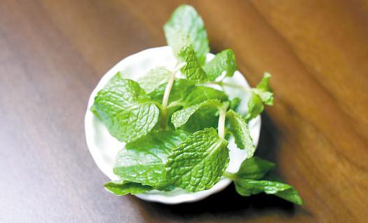 薄荷是什么？薄荷對家居環(huán)境的影響