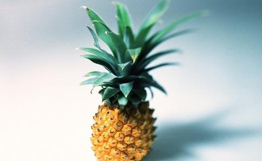 鳳梨花的介紹-鳳梨對家居環(huán)境的影響