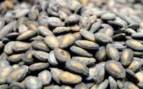 嗑西瓜籽可防老癡 各種瓜子的營養價值