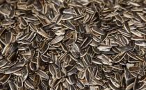 晚上吃什么有助于改善睡眠？